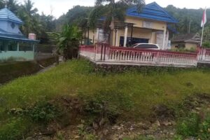 Alinge Desa Tea Musu