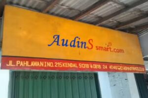 Audins Smartcom