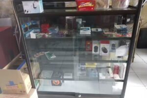 Avista Prima Computer