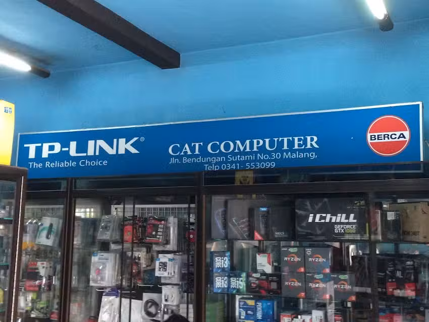 Cat Computer