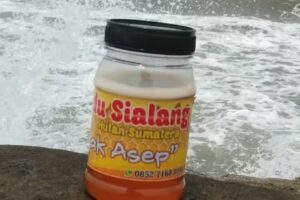 Jual Laptop Bekas Bergaransi Pasaman Barat- Sumbar