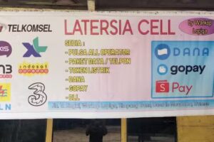 Latersia Cell