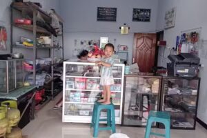 MartZuki Laptop dan percetakan