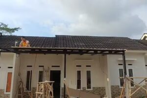 Nurliani Store ( NS )