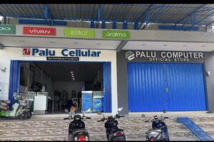 Palu Computer Official Store