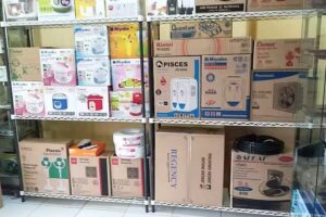 Pegasus Electronic & Computer