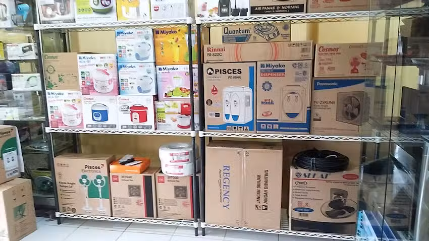 Pegasus Electronic & Computer