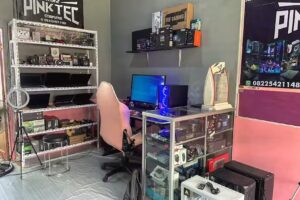 PINKTEC COMPUTER N3R2