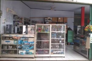 Prima Computer Cellular