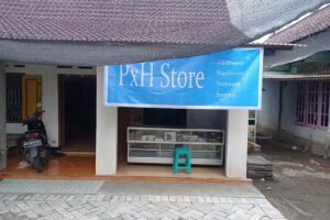 PxH store