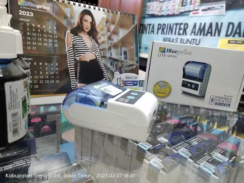 SERVICE PRINTER EPSON DLL