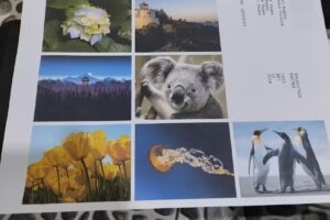 Servis printer computer