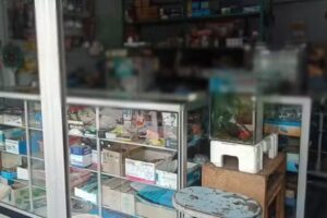 Setya Elcom Service Computer