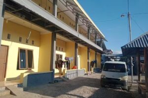 Tene Dev (Web Developer)