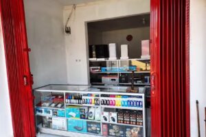 Vivo komputer cibeber