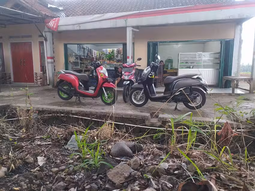 WeGe Store